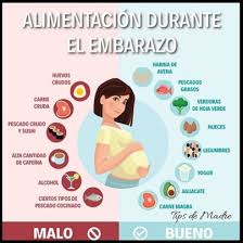 alimentacion en el embarazo