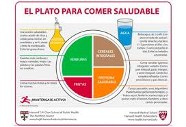 dieta para perder grasa abdominal